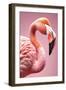 Xtravaganza - The Pink Flamingo-Philippe HUGONNARD-Framed Art Print