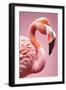 Xtravaganza - The Pink Flamingo-Philippe HUGONNARD-Framed Art Print