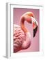 Xtravaganza - The Pink Flamingo-Philippe HUGONNARD-Framed Art Print