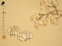 Gourds-Xu Gu-Stretched Canvas