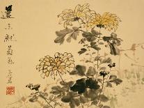 Chrysanthemums, A Leaf from an Album of Various Subjects-Xu Gu-Giclee Print