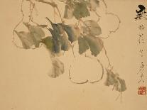 Gourds-Xu Gu-Framed Stretched Canvas