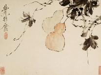 Chrysanthemums, A Leaf from an Album of Various Subjects-Xu Gu-Giclee Print