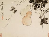 Chrysanthemums, A Leaf from an Album of Various Subjects-Xu Gu-Giclee Print