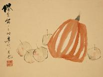 Gourds-Xu Gu-Framed Stretched Canvas