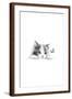 Chelsea Espresso
