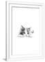 Gramercy White