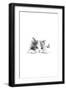 Black Frame