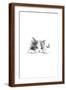 Brown Frame