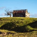 San Ignacio-Mini Mission in Argentina-xura-Photographic Print