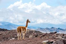 Andes of Central Ecuador-xura-Stretched Canvas