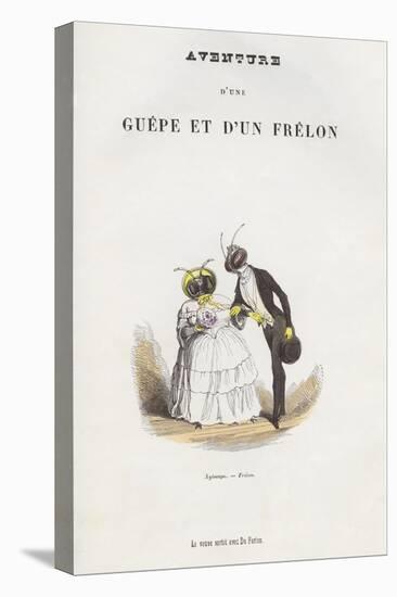 Xylocope-Frelon Illustration of Newlywed Insect Couple-Amedee Varin-Stretched Canvas