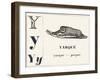 Y for Yarque (Monkey from French Guiana), 1850 (Engraving)-Louis Simon (1810-1870) Lassalle-Framed Giclee Print