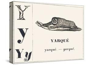 Y for Yarque (Monkey from French Guiana), 1850 (Engraving)-Louis Simon (1810-1870) Lassalle-Stretched Canvas