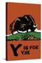 Y is for Yak-Charles Buckles Falls-Stretched Canvas