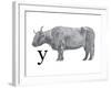 Y is for Yak-Stacy Hsu-Framed Art Print