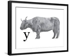 Y is for Yak-Stacy Hsu-Framed Art Print