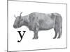Y is for Yak-Stacy Hsu-Mounted Art Print