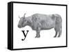 Y is for Yak-Stacy Hsu-Framed Stretched Canvas