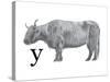 Y is for Yak-Stacy Hsu-Stretched Canvas