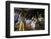 Ya Teak Pyan Cave, Hpa An, Kayin State (Karen State), Myanmar (Burma), Asia-Nathalie Cuvelier-Framed Photographic Print