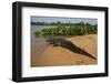 Yacare Caiman (Caiman Yacare), Northern Pantanal, Mato Grosso, Brazil-Pete Oxford-Framed Photographic Print