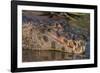 Yacare Caiman, (Caiman yacare) Pantanal Matogrossense National Park, Pantanal, Brazil-Jeff Foott-Framed Photographic Print