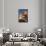 Yachangku Magazine-null-Framed Stretched Canvas displayed on a wall