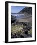 Yachats, Cape Cove, Cape Perpetua Scenic Area, Oregon, USA-Connie Ricca-Framed Photographic Print