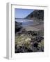 Yachats, Cape Cove, Cape Perpetua Scenic Area, Oregon, USA-Connie Ricca-Framed Photographic Print