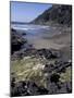 Yachats, Cape Cove, Cape Perpetua Scenic Area, Oregon, USA-Connie Ricca-Mounted Photographic Print