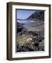 Yachats, Cape Cove, Cape Perpetua Scenic Area, Oregon, USA-Connie Ricca-Framed Photographic Print