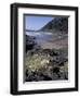 Yachats, Cape Cove, Cape Perpetua Scenic Area, Oregon, USA-Connie Ricca-Framed Photographic Print