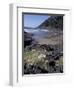 Yachats, Cape Cove, Cape Perpetua Scenic Area, Oregon, USA-Connie Ricca-Framed Photographic Print