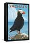 Yachats, Oregon, Puffin Scene-Lantern Press-Framed Stretched Canvas