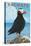 Yachats, Oregon, Puffin Scene-Lantern Press-Stretched Canvas