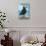 Yachats, Oregon, Puffin Scene-Lantern Press-Stretched Canvas displayed on a wall