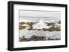 Yachats, Oregon, USA. Thor's Well on the Oregon coast.-Emily Wilson-Framed Photographic Print