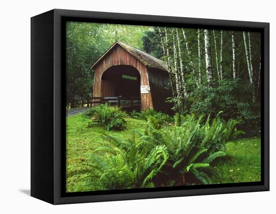 Yachats River Covered Bridge in Siuslaw National Forest, North Fork, Oregon, USA-Steve Terrill-Framed Stretched Canvas