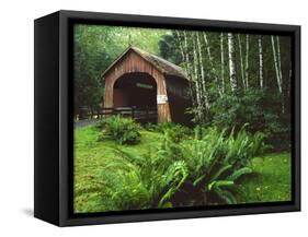 Yachats River Covered Bridge in Siuslaw National Forest, North Fork, Oregon, USA-Steve Terrill-Framed Stretched Canvas