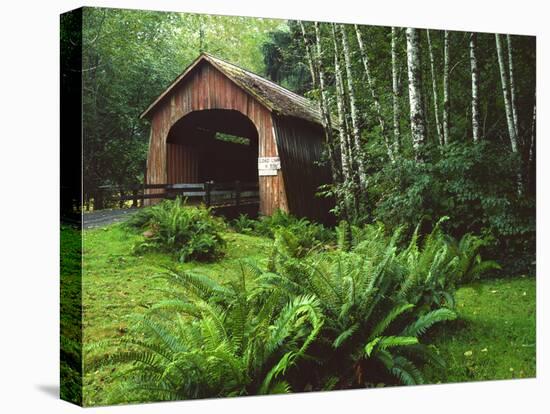 Yachats River Covered Bridge in Siuslaw National Forest, North Fork, Oregon, USA-Steve Terrill-Stretched Canvas