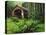 Yachats River Covered Bridge in Siuslaw National Forest, North Fork, Oregon, USA-Steve Terrill-Stretched Canvas