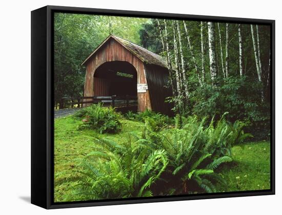 Yachats River Covered Bridge in Siuslaw National Forest, North Fork, Oregon, USA-Steve Terrill-Framed Stretched Canvas