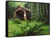 Yachats River Covered Bridge in Siuslaw National Forest, North Fork, Oregon, USA-Steve Terrill-Framed Stretched Canvas