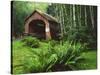 Yachats River Covered Bridge in Siuslaw National Forest, North Fork, Oregon, USA-Steve Terrill-Stretched Canvas