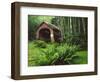 Yachats River Covered Bridge in Siuslaw National Forest, North Fork, Oregon, USA-Steve Terrill-Framed Photographic Print