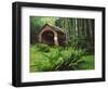 Yachats River Covered Bridge in Siuslaw National Forest, North Fork, Oregon, USA-Steve Terrill-Framed Photographic Print