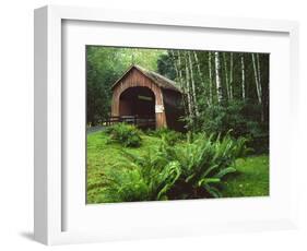 Yachats River Covered Bridge in Siuslaw National Forest, North Fork, Oregon, USA-Steve Terrill-Framed Photographic Print