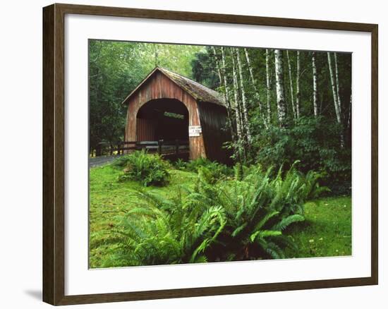 Yachats River Covered Bridge in Siuslaw National Forest, North Fork, Oregon, USA-Steve Terrill-Framed Photographic Print