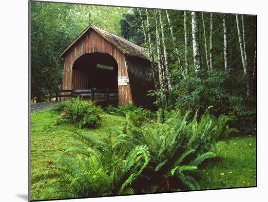 Yachats River Covered Bridge in Siuslaw National Forest, North Fork, Oregon, USA-Steve Terrill-Mounted Photographic Print